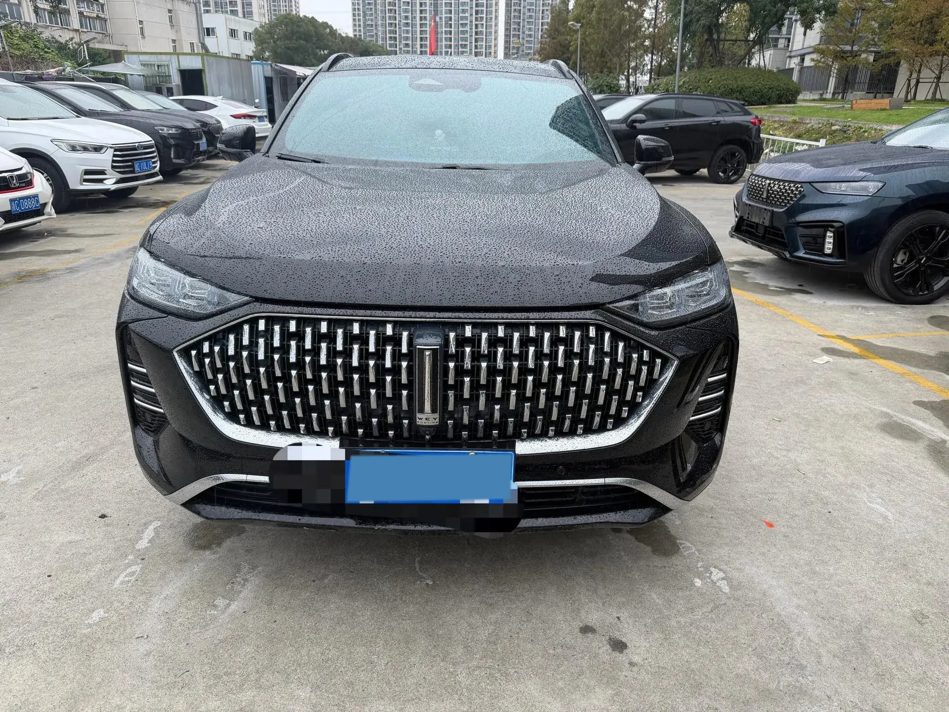 2021 WEY MOCHA thumbnail 3