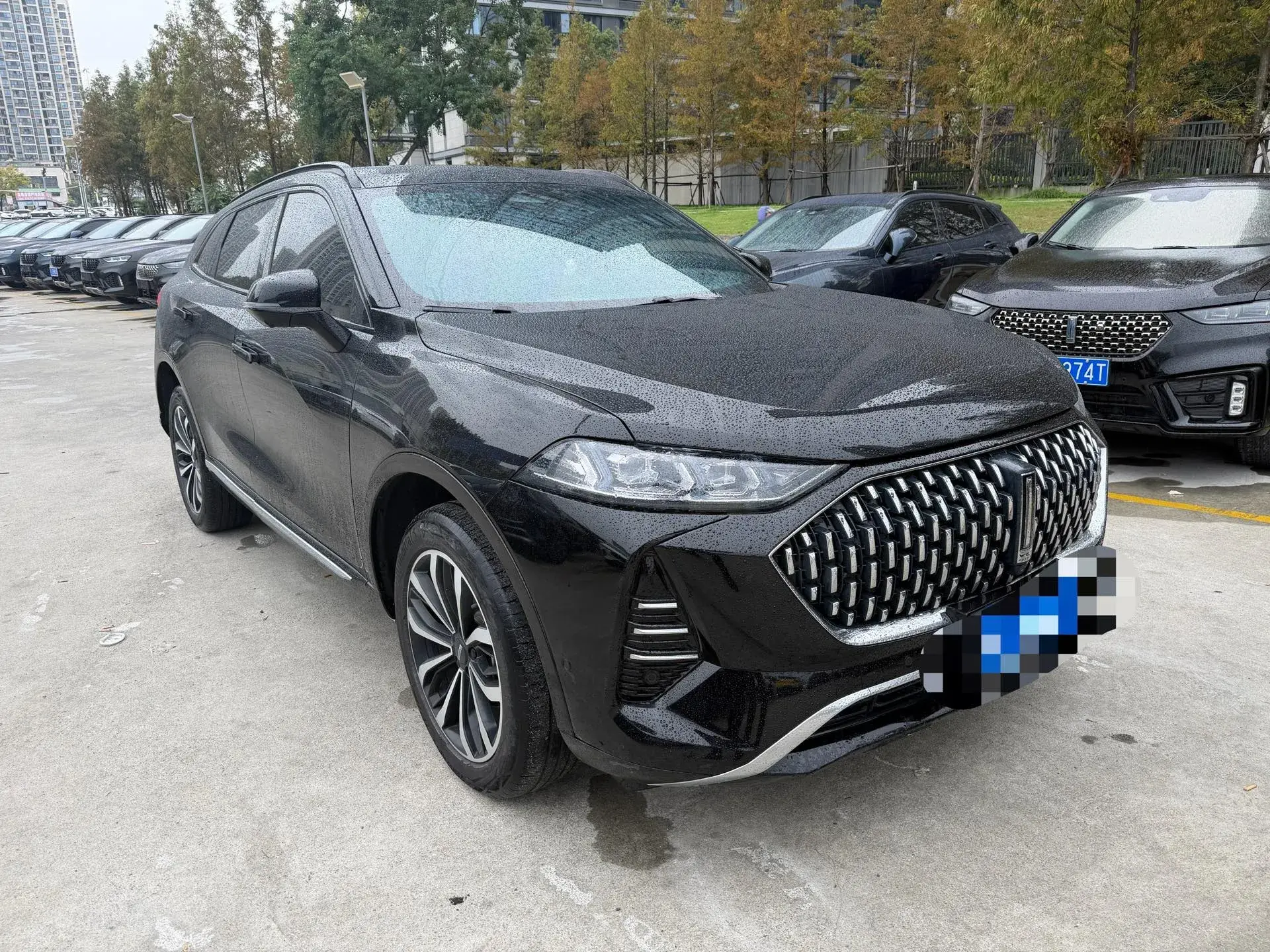 2021 WEY MOCHA thumbnail 2