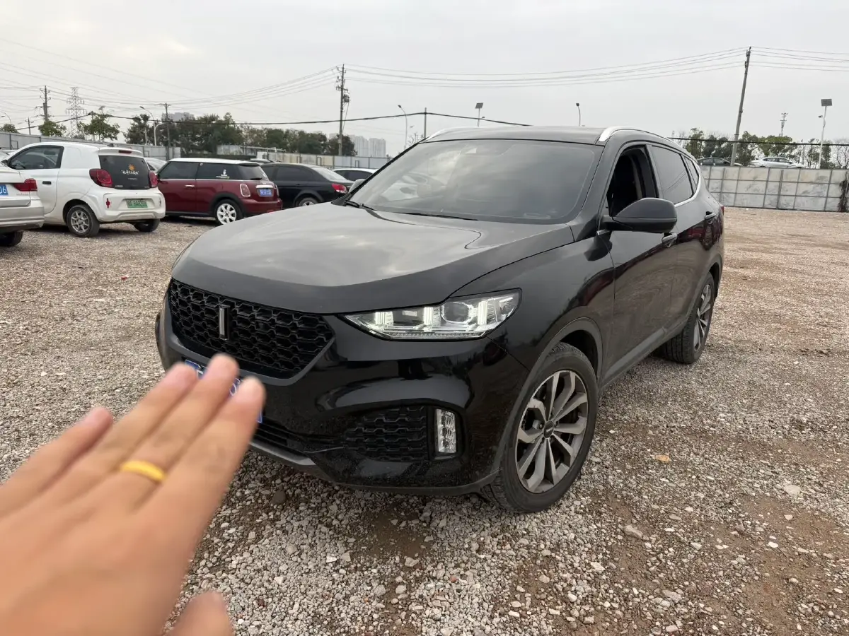 2018 WEY VV6 2.0T 197HP L4 7DCT