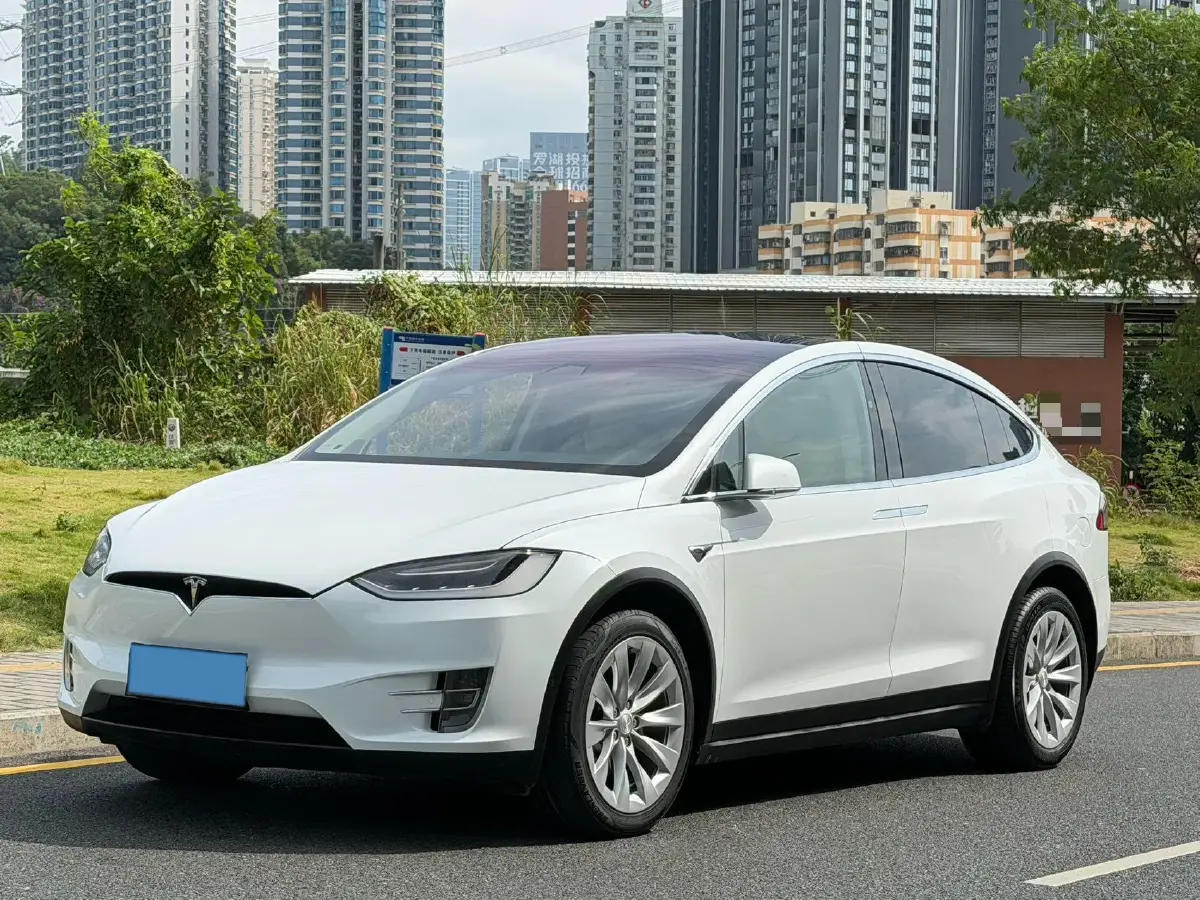 2017 Tesla Model X BEV 100KWH