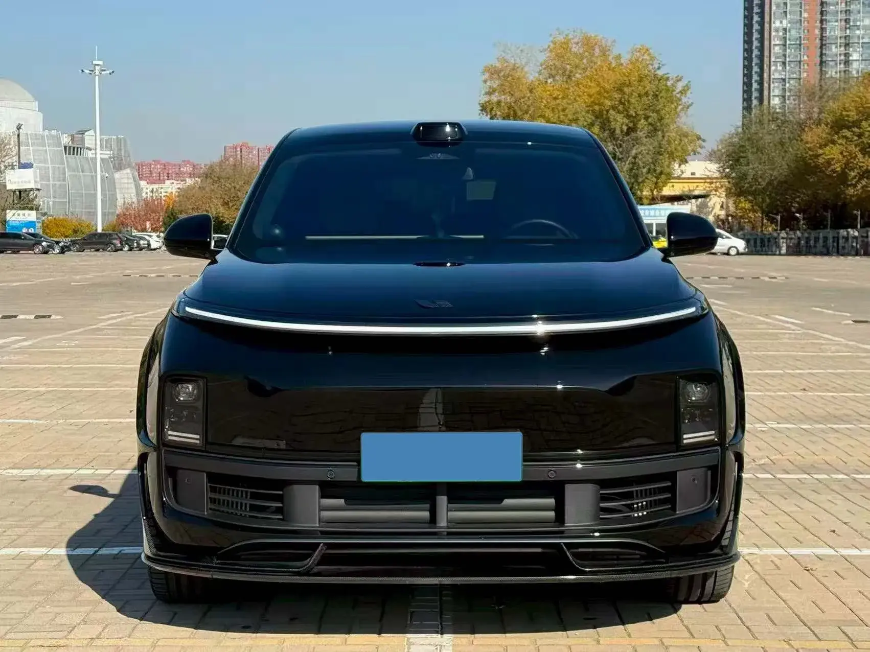 2024 LI L9 thumbnail 2