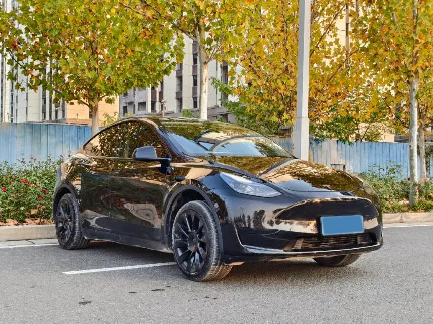 2023 TESLA MODEL thumbnail 3