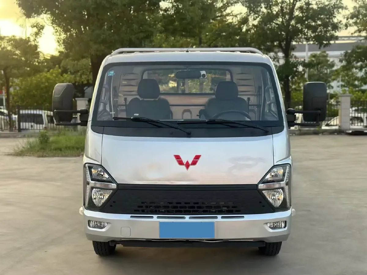 2023 WuLing Loong Truck 2.0L 136HP L4 5MT,autocango,china used car exporter,china ev exporter,chinese used car exporter,chinese used ev exporter