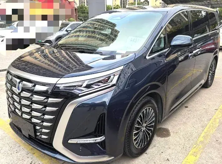 2022 DENZA D9 view 1