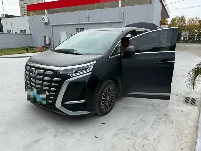 2022 DENZA D9 thumbnail 2