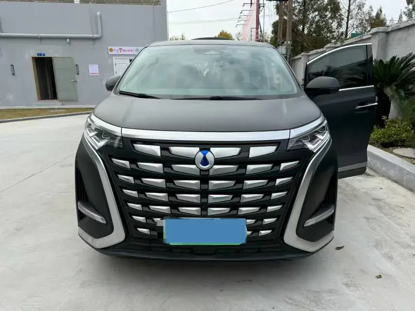 2022 DENZA D9 thumbnail 3