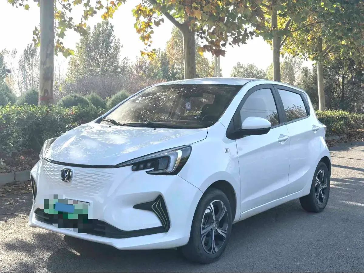 2020 ChangAn BenBen E-Star BEV 32.2KWH