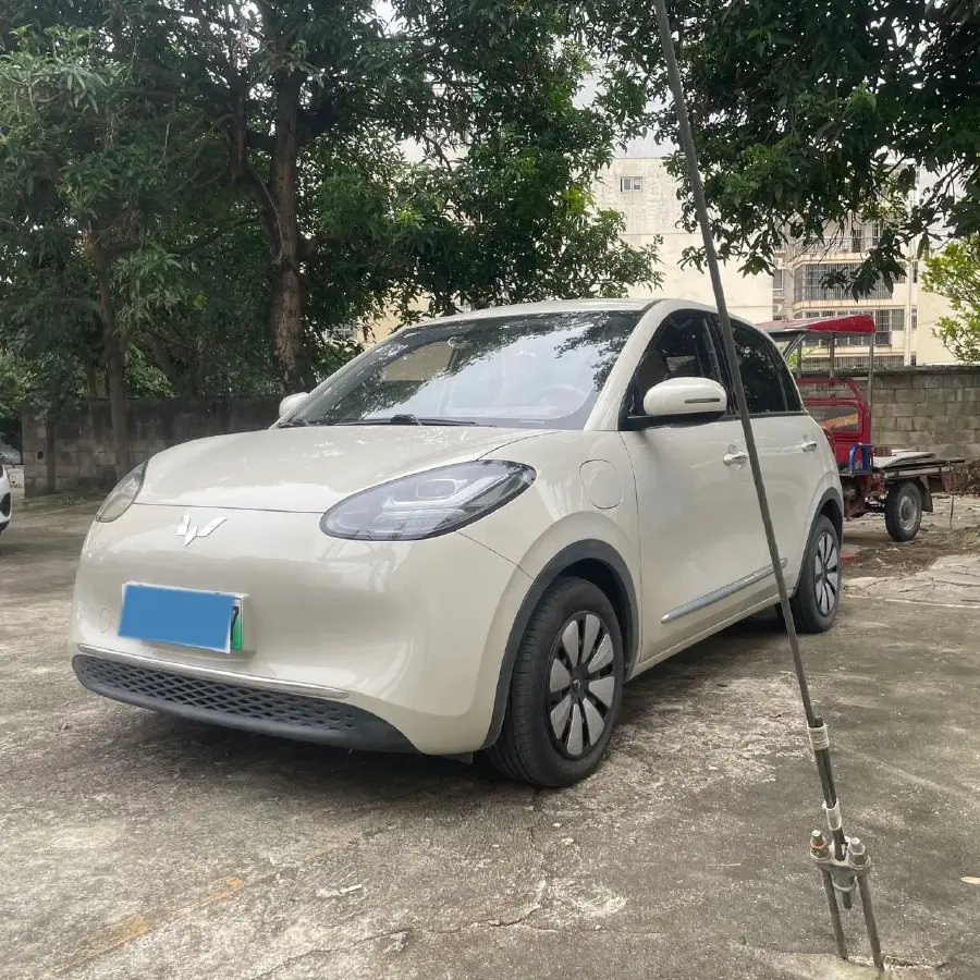 2024 WuLing BinGuo BEV 31.9KWH