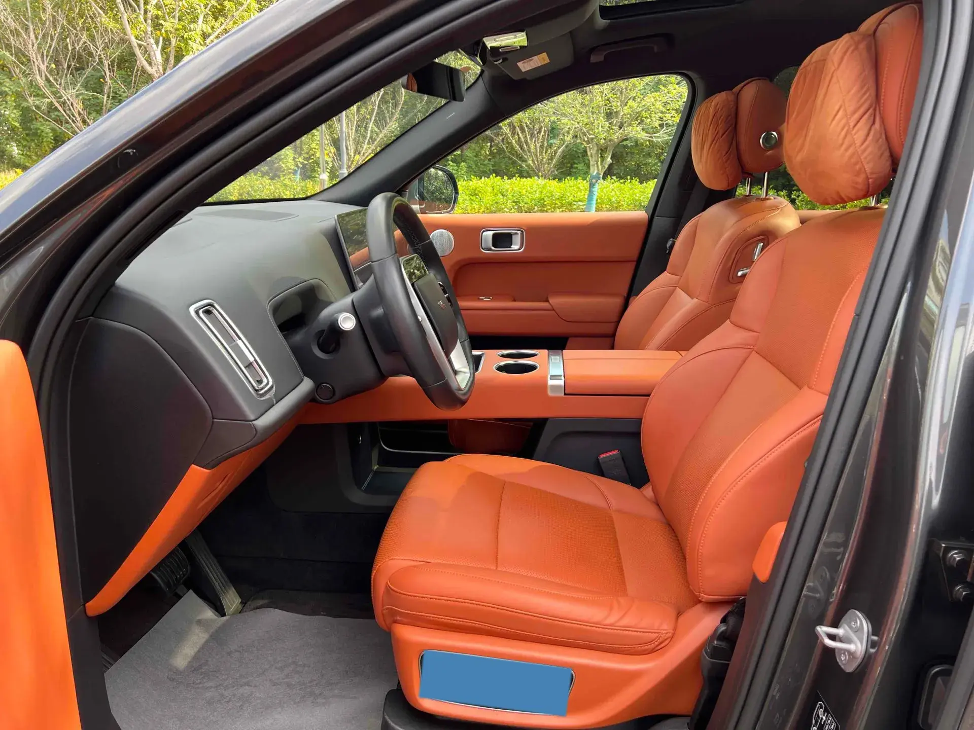 2022 LI L9 thumbnail 3