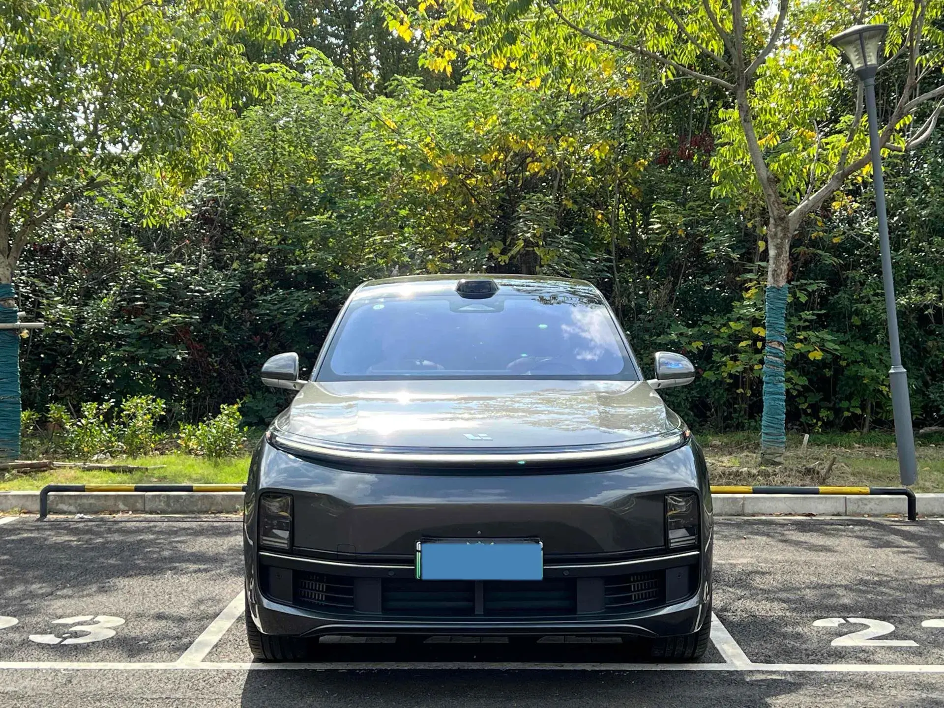 2022 LI L9 thumbnail 2