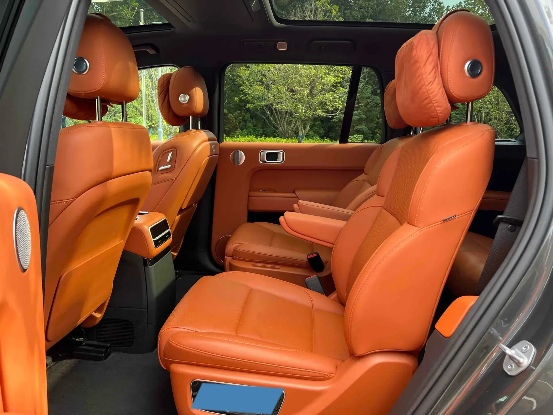 2022 LI L9 thumbnail 4