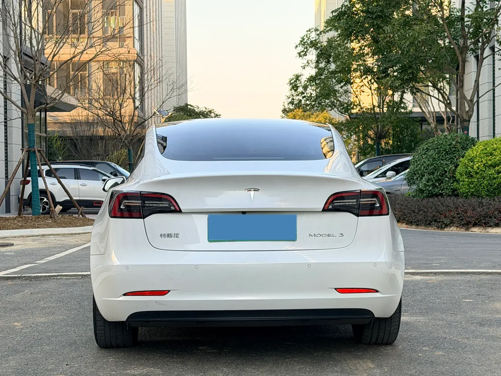 2021 TESLA MODEL thumbnail 2