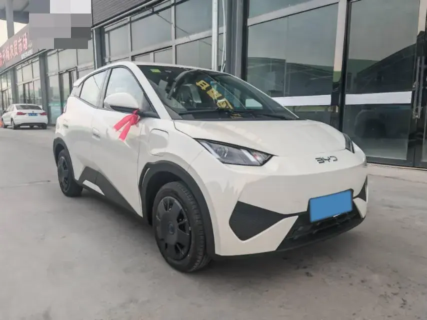 2025 BYD SEAGULL thumbnail 3