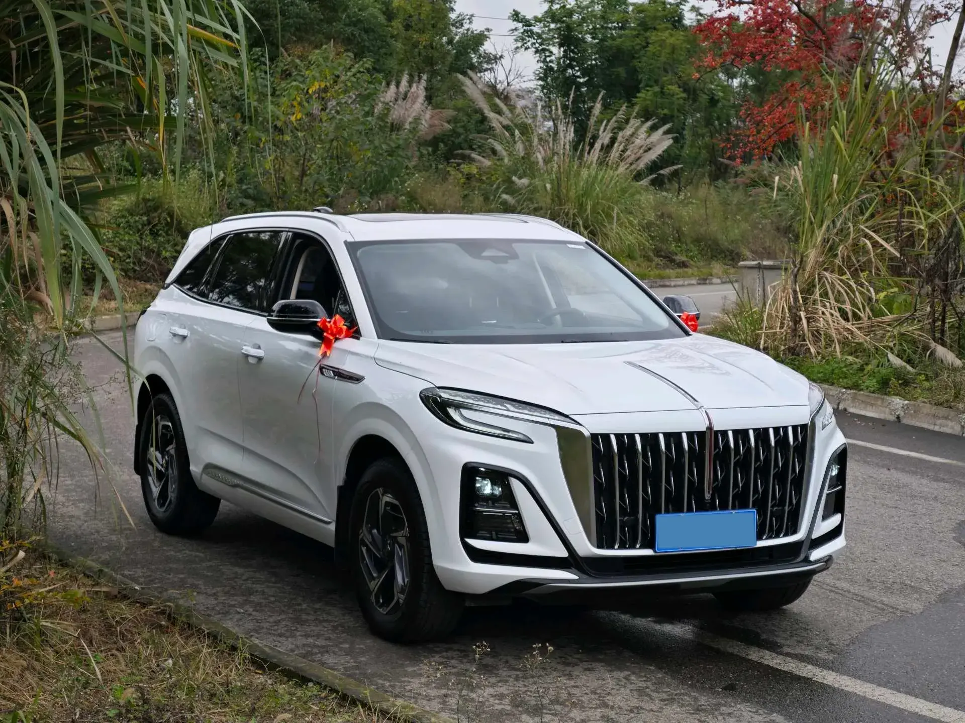 2023 HONGQI HS3 thumbnail 2