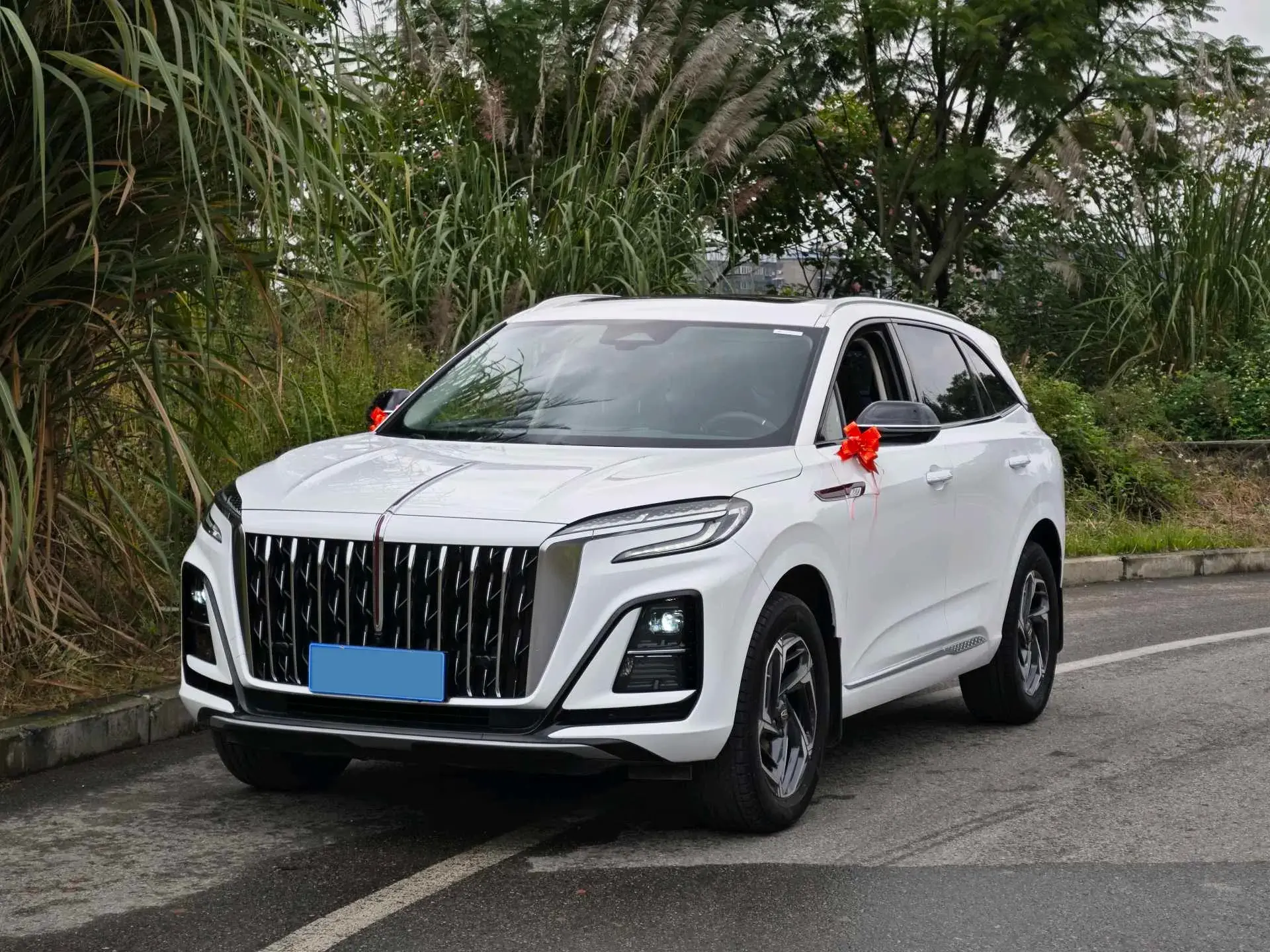 2023 HONGQI HS3 view 1