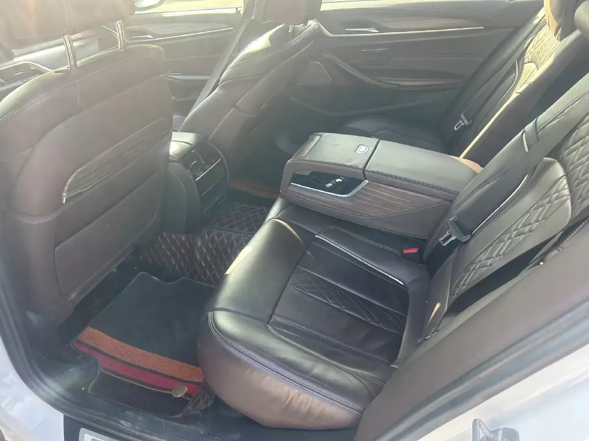 2020 BMW 5 Series 2.0T 184HP L4 8AT PHEV 17.7KWH,autocango,china used car exporter,china ev exporter,chinese used car exporter,chinese used ev exporter