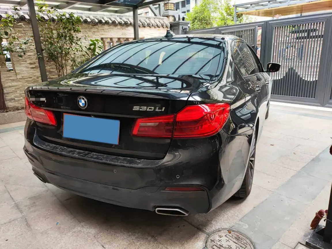 2019 BMW 5 Series 2.0T 252HP L4 8AT,autocango,china used car exporter,china ev exporter,chinese used car exporter,chinese used ev exporter