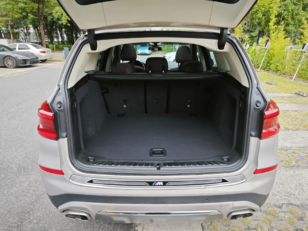 2020 BMW X3 2.0T 184HP L4 8AT,autocango,china used car exporter,china ev exporter,chinese used car exporter,chinese used ev exporter