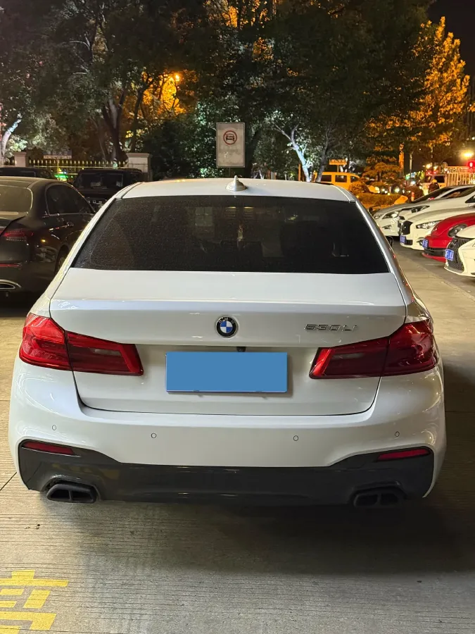 2020 BMW 5 Series 2.0T 184HP L4 8AT,autocango,china used car exporter,china ev exporter,chinese used car exporter,chinese used ev exporter