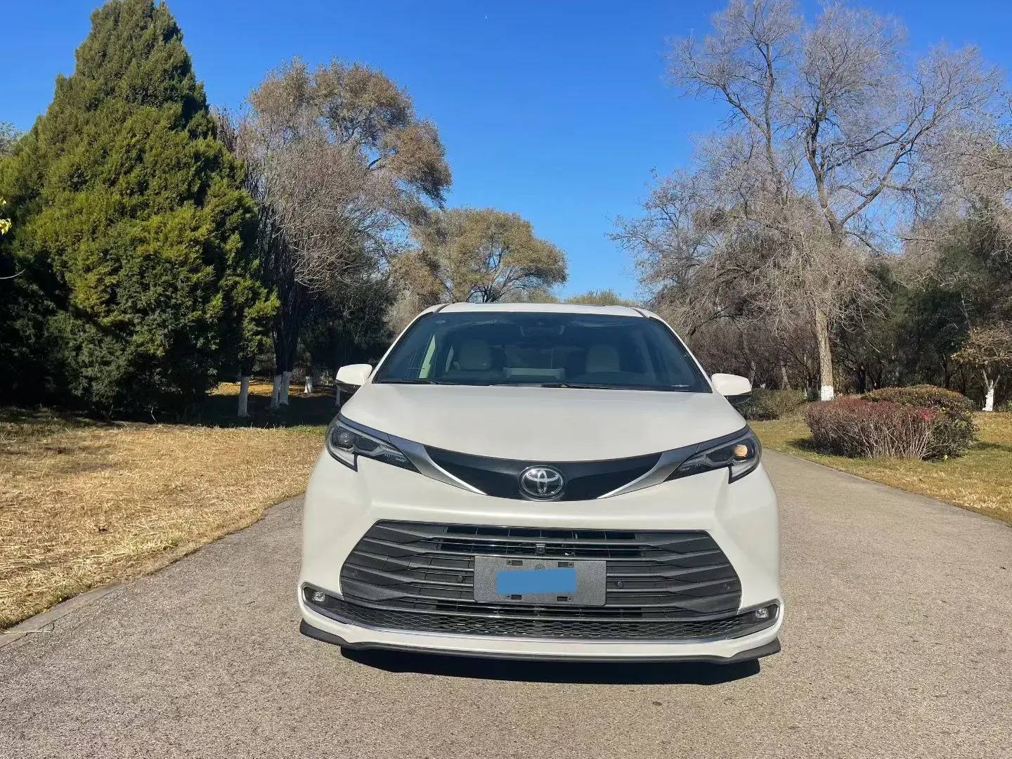 2024 TOYOTA SIENNA thumbnail 2