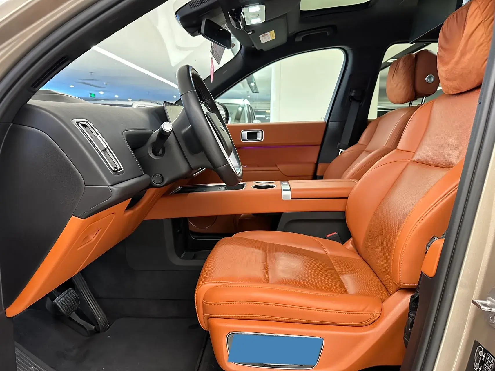 2022 LI L9 thumbnail 3