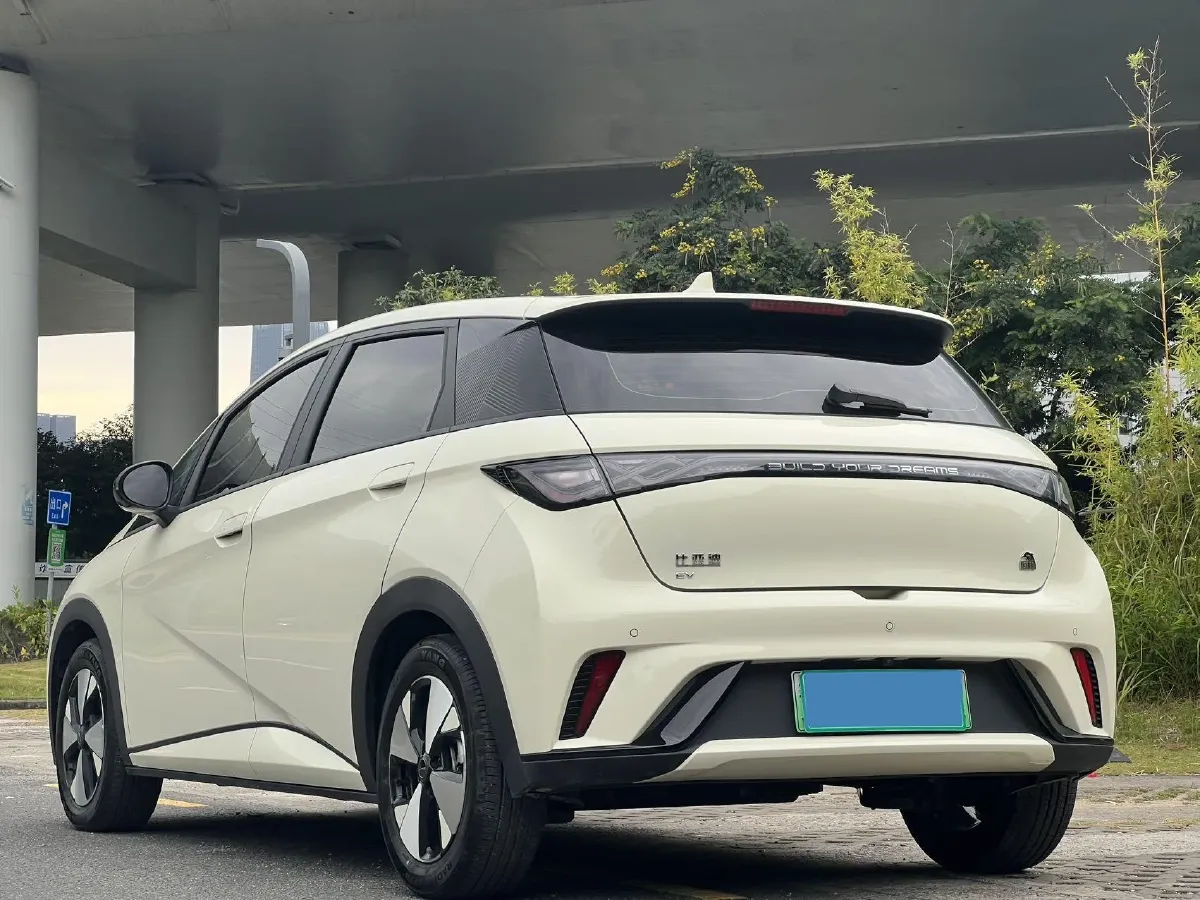 2023 BYD Dolphin BEV 44.928KWH,autocango,china used car exporter,china ev exporter,chinese used car exporter,chinese used ev exporter