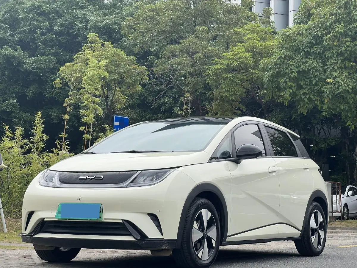 2023 BYD Dolphin BEV 44.928KWH