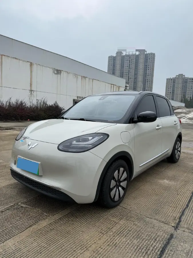 2023 WuLing BinGuo BEV 31.9KWH