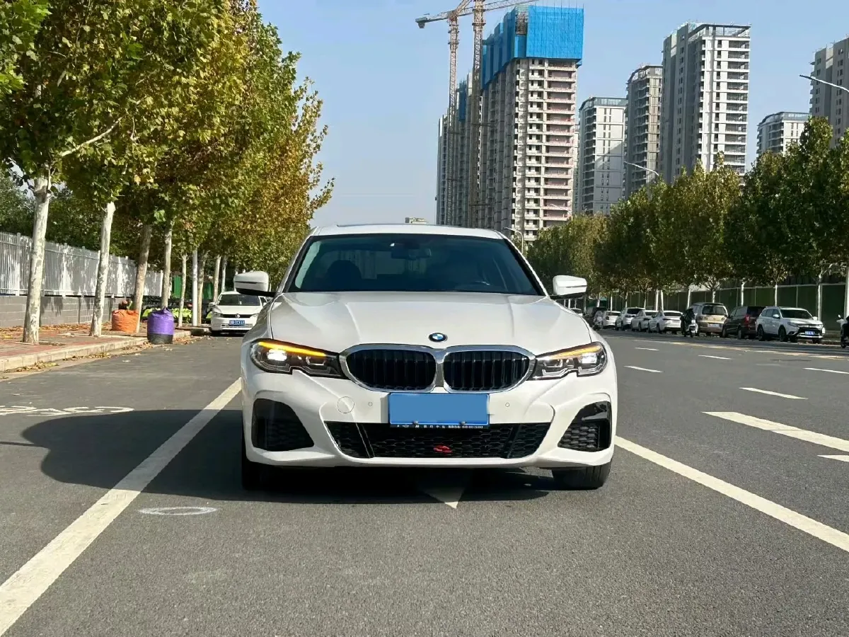 2020 BMW 3 Series 2.0T 156HP L4 8AT,autocango,china used car exporter,china ev exporter,chinese used car exporter,chinese used ev exporter