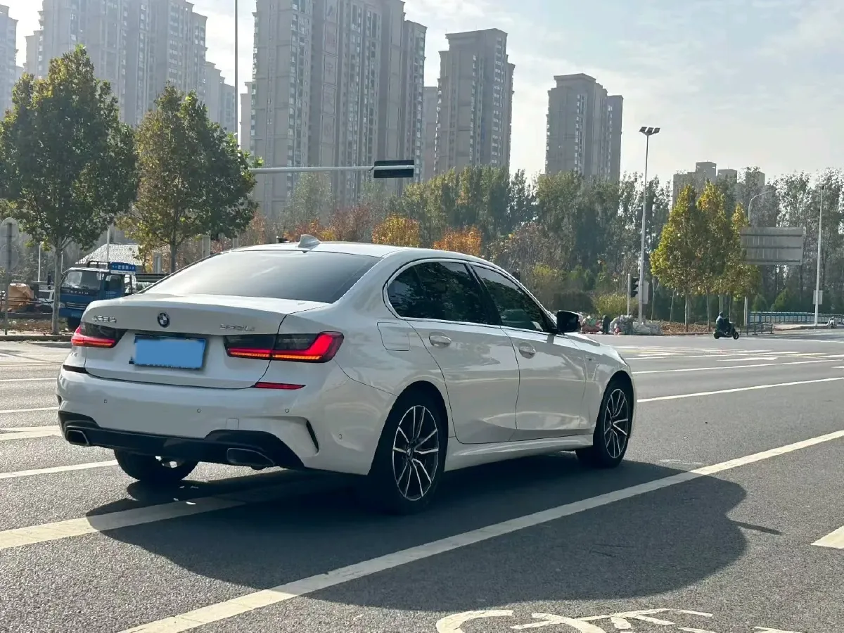 2020 BMW 3 Series 2.0T 156HP L4 8AT,autocango,china used car exporter,china ev exporter,chinese used car exporter,chinese used ev exporter