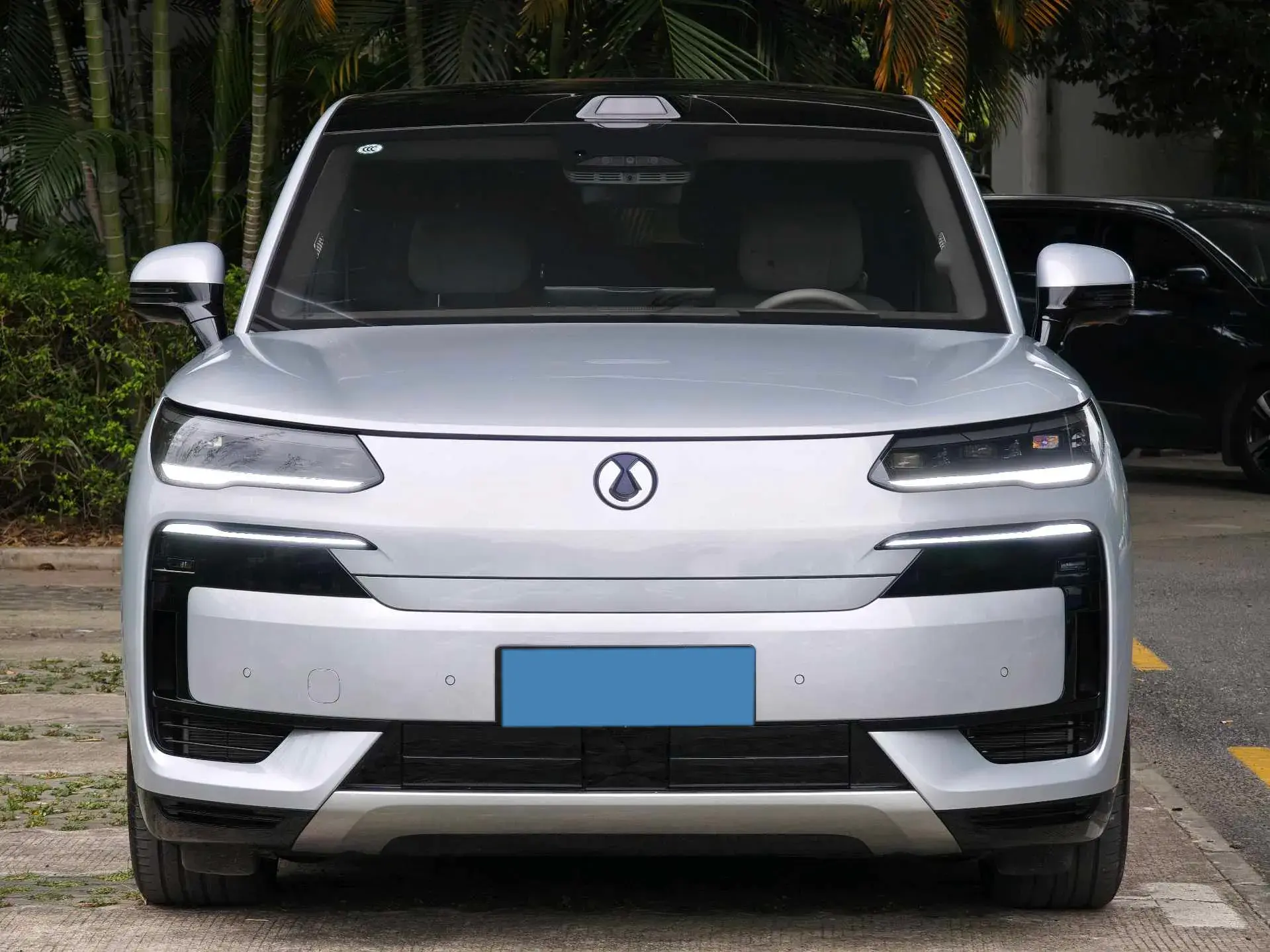 2025 DENZA DENZAN9 thumbnail 2