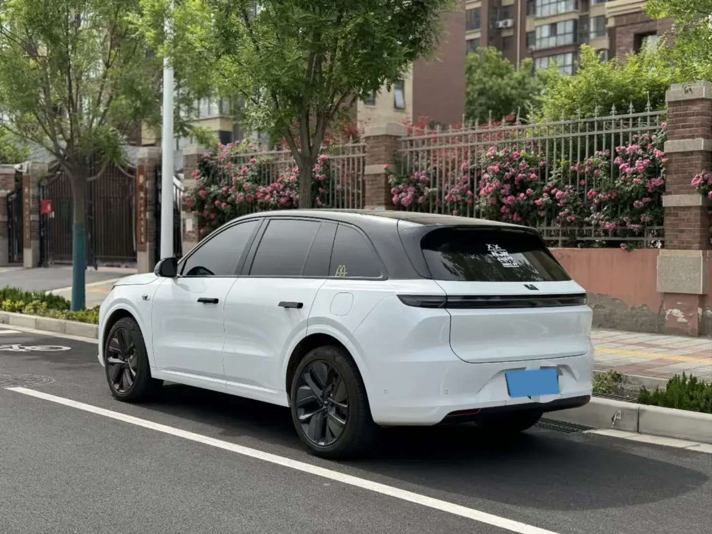 2024 LI L6 thumbnail 3