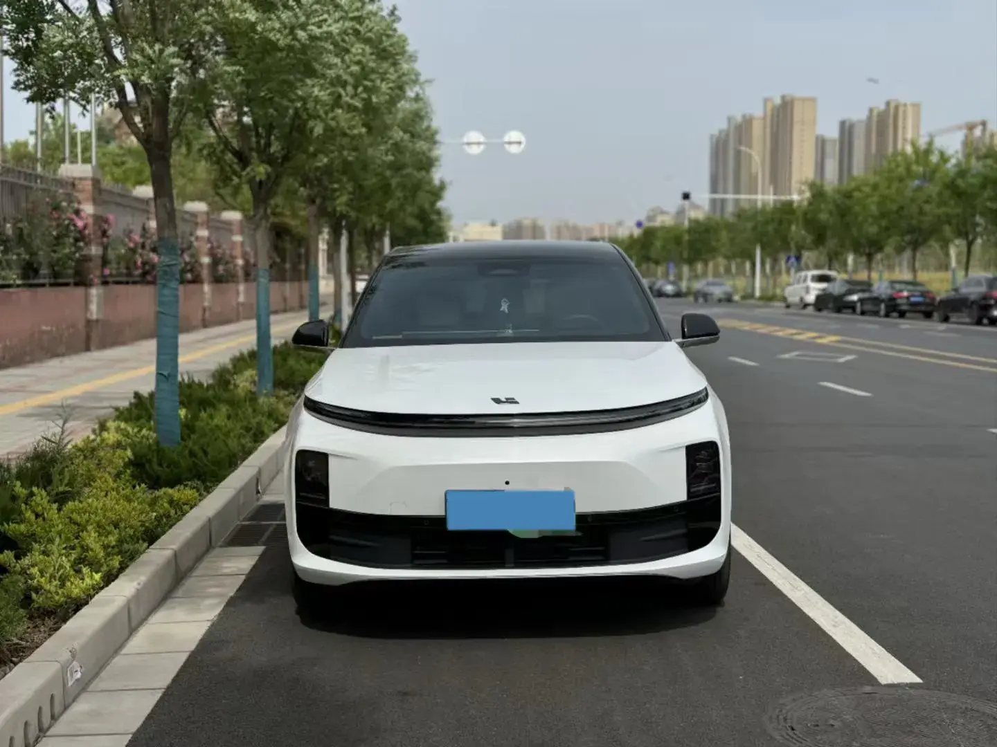 2024 LI L6 thumbnail 2