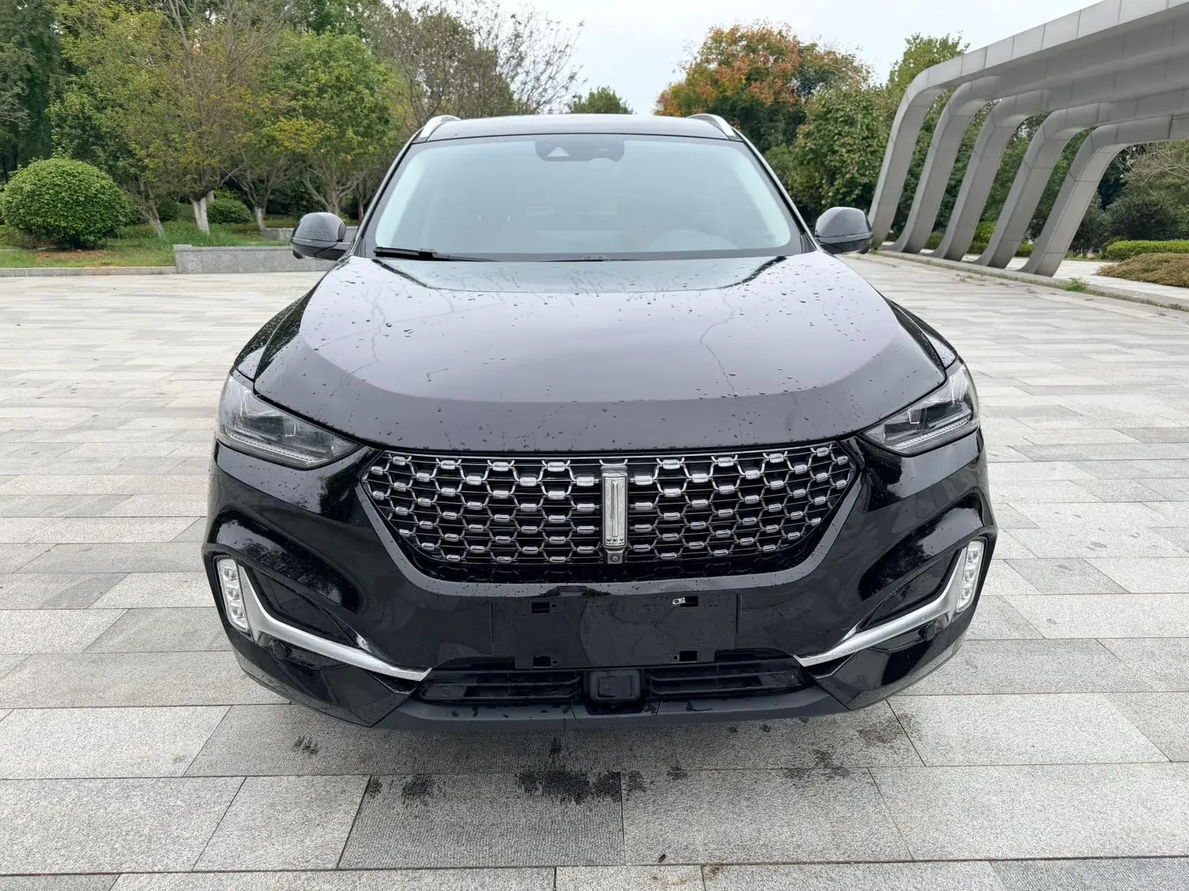 2020 WEY VV6 thumbnail 2