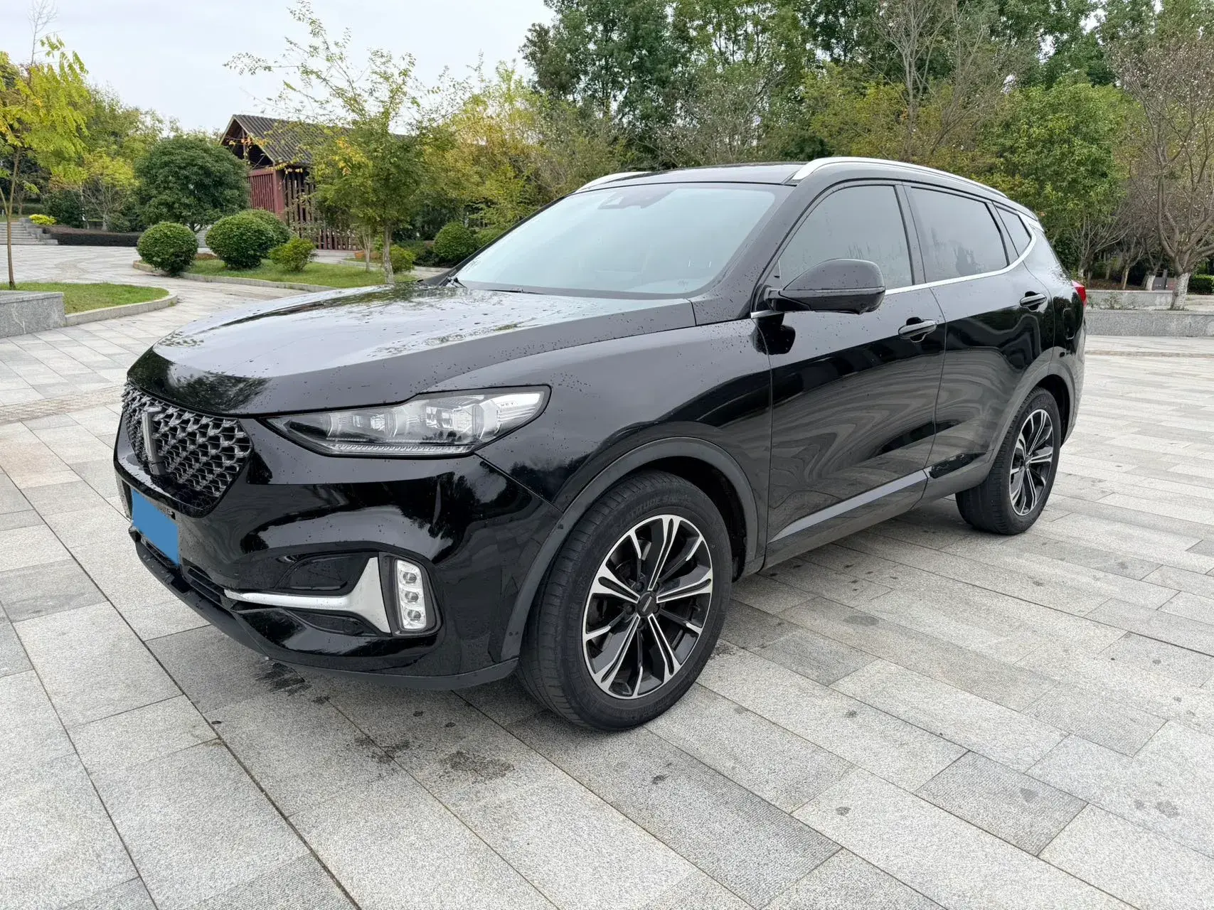 2020 WEY VV6 view 1