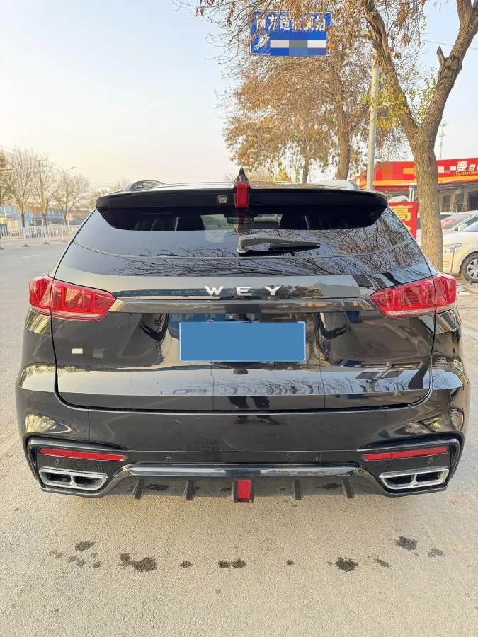 2020 WEY VV7 2.0T 227HP L4 7DCT,autocango,china used car exporter,china ev exporter,chinese used car exporter,chinese used ev exporter