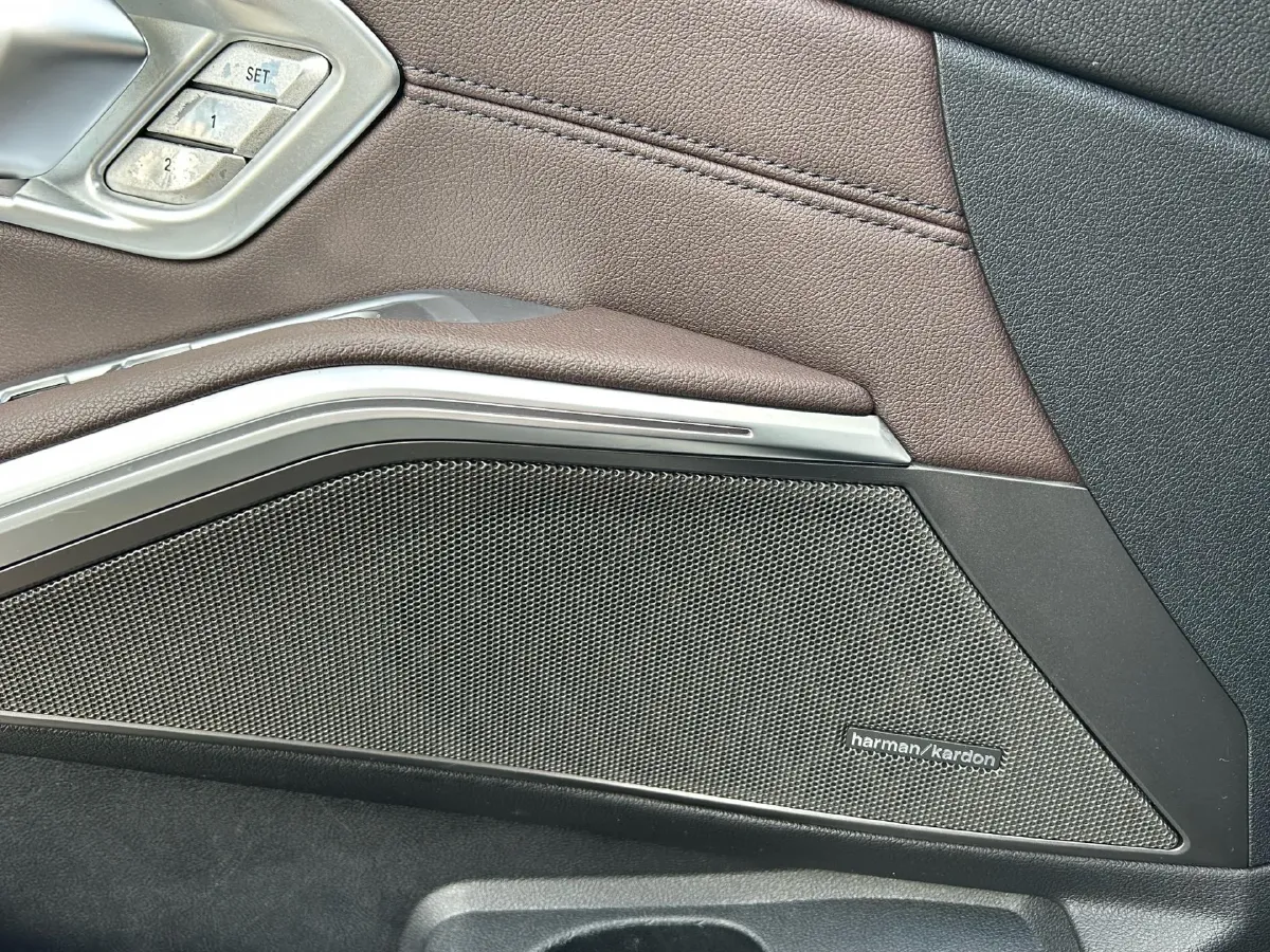 2021 BMW 3 Series 2.0T 184HP L4 8AT,autocango,china used car exporter,china ev exporter,chinese used car exporter,chinese used ev exporter