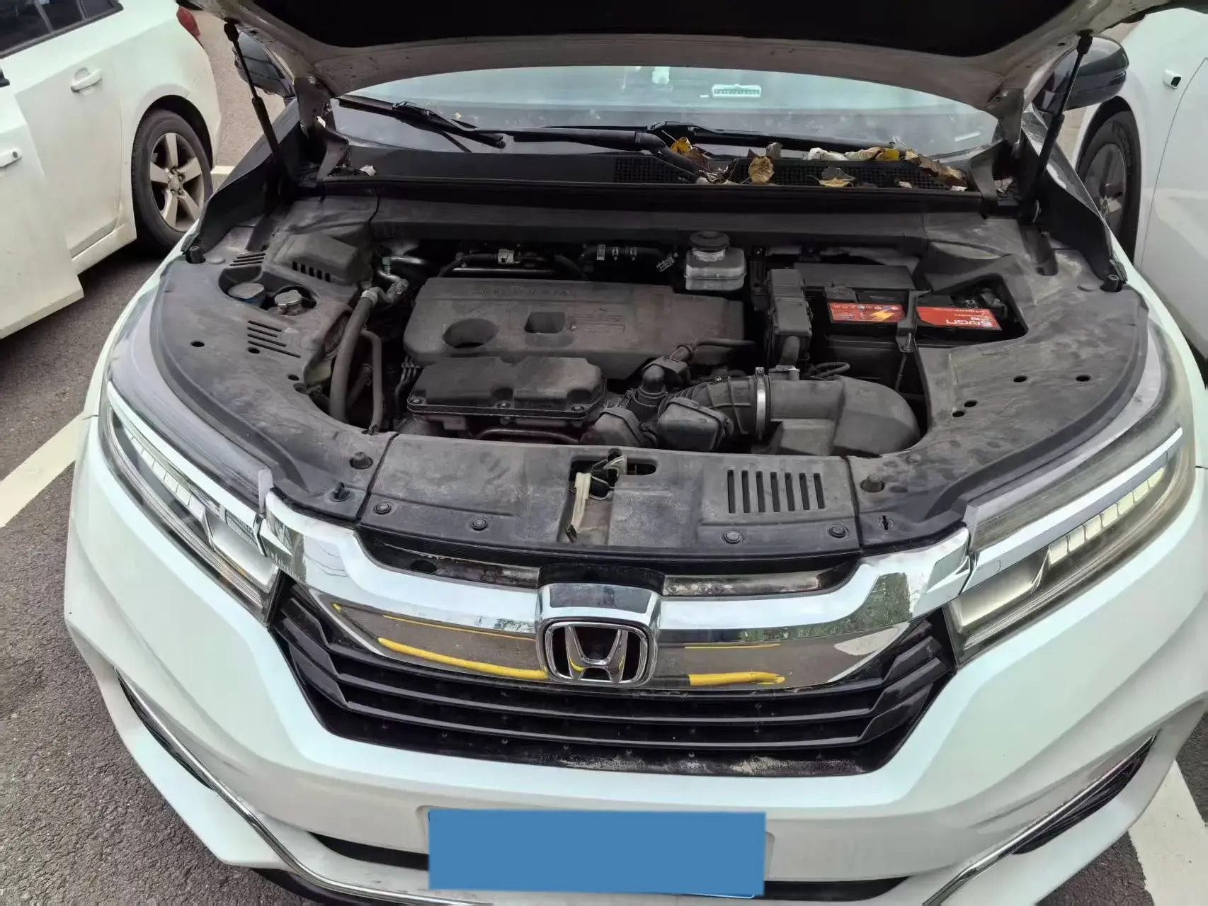 2020 HONDA AVANCIER thumbnail 4