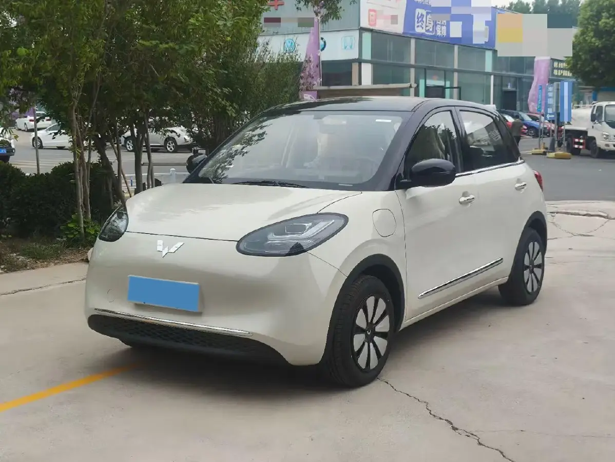2025 WuLing BinGuo BEV