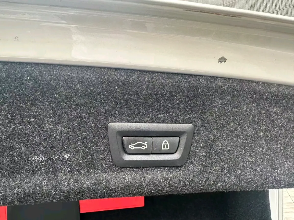 2020 BMW 3 Series 2.0T 156HP L4 8AT,autocango,china used car exporter,china ev exporter,chinese used car exporter,chinese used ev exporter