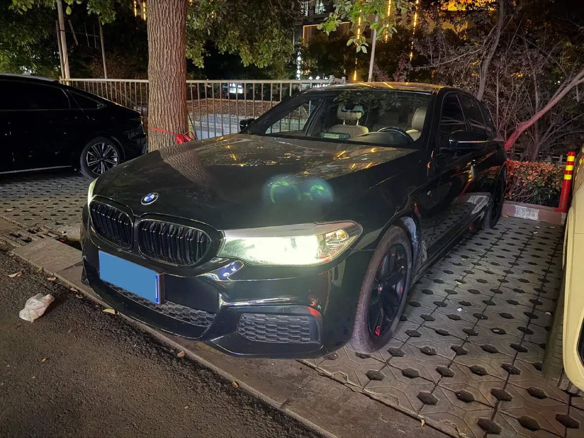 2020 BMW 5 Series 2.0T 184HP L4 8AT