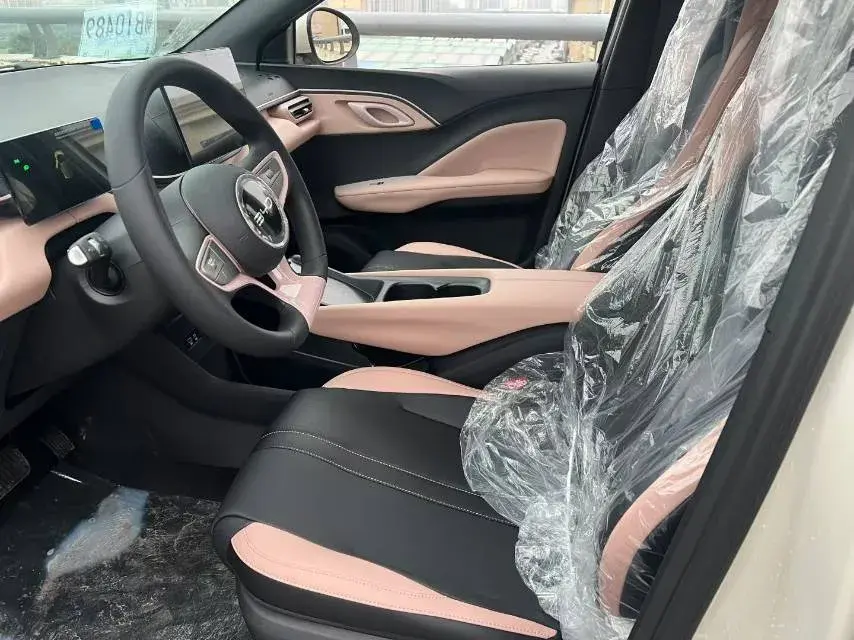 2025 BYD SEAGULL thumbnail 4