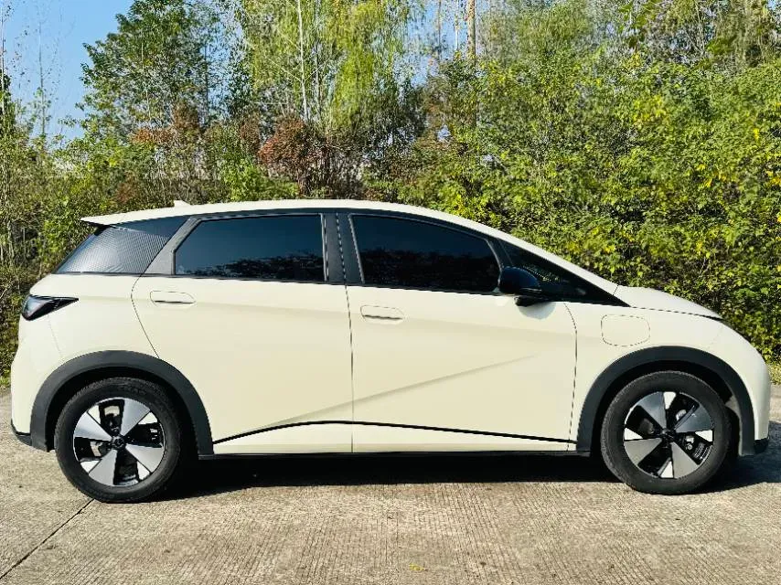 2023 BYD Dolphin BEV 44.928KWH,autocango,china used car exporter,china ev exporter,chinese used car exporter,chinese used ev exporter