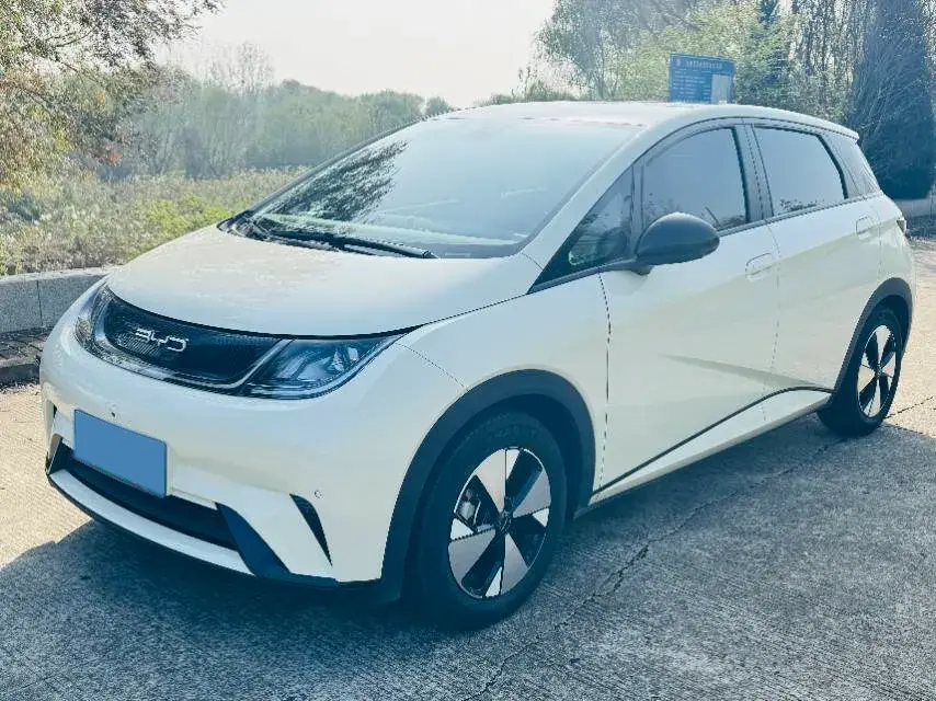 2023 BYD DOLPHIN view 1