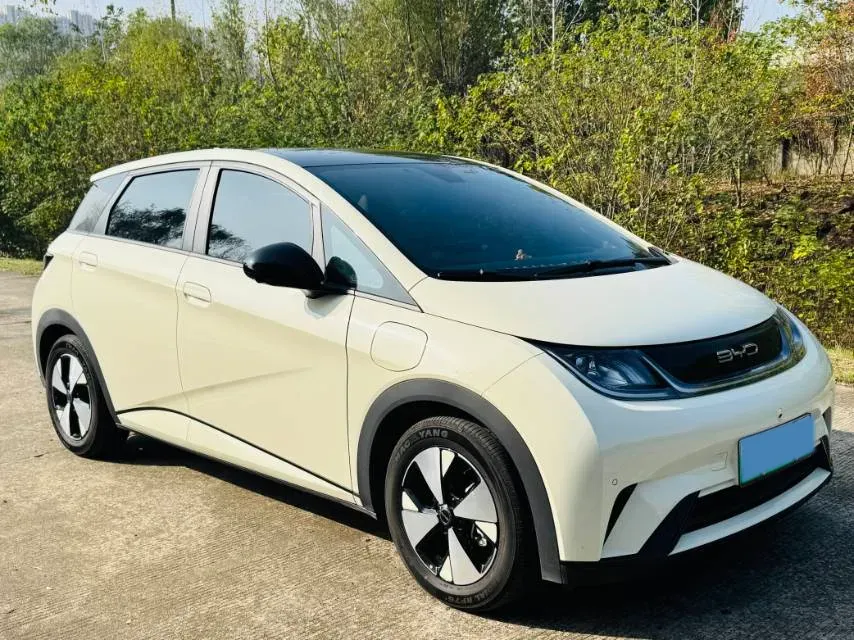 2023 BYD Dolphin BEV 44.928KWH,autocango,china used car exporter,china ev exporter,chinese used car exporter,chinese used ev exporter