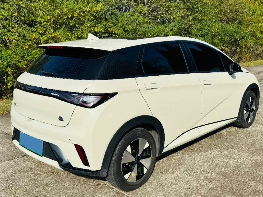 2023 BYD Dolphin BEV 44.928KWH,autocango,china used car exporter,china ev exporter,chinese used car exporter,chinese used ev exporter
