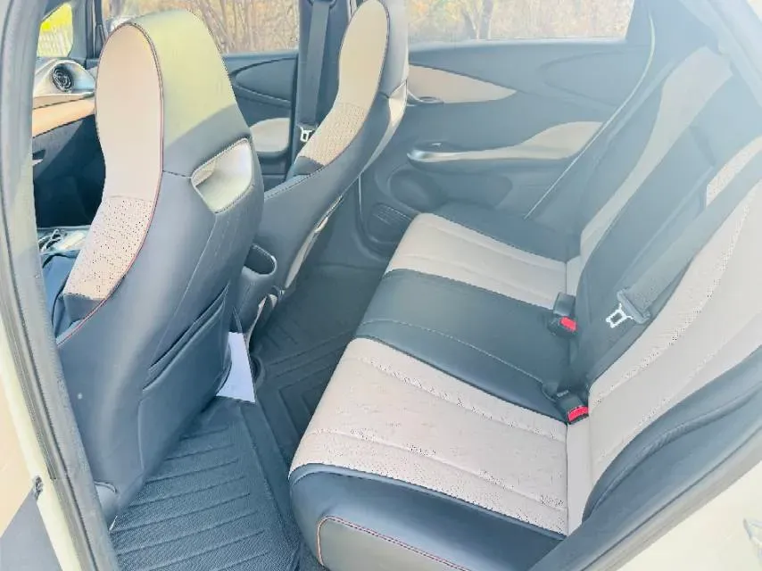 2023 BYD Dolphin BEV 44.928KWH,autocango,china used car exporter,china ev exporter,chinese used car exporter,chinese used ev exporter