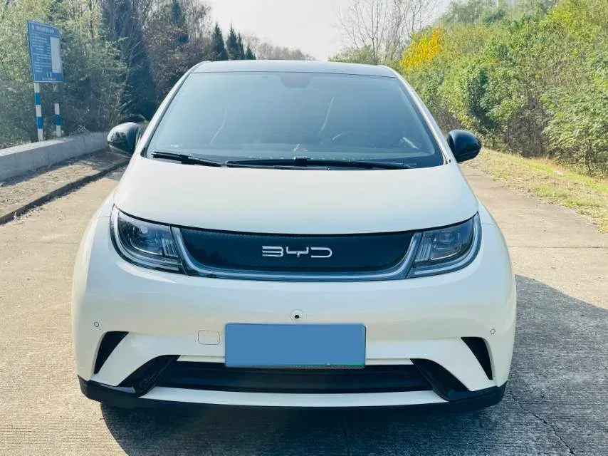 2023 BYD Dolphin BEV 44.928KWH,autocango,china used car exporter,china ev exporter,chinese used car exporter,chinese used ev exporter