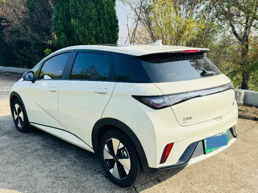 2023 BYD Dolphin BEV 44.928KWH,autocango,china used car exporter,china ev exporter,chinese used car exporter,chinese used ev exporter