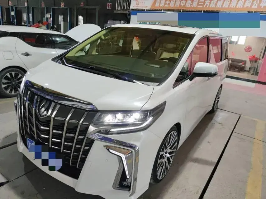 2019 TOYOTA ALPHARD view 1